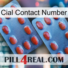 Cial Contact Number 05